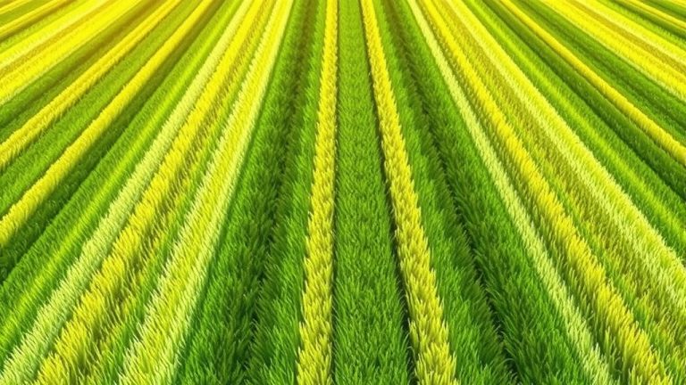How To Mow A Perfect Lawn?