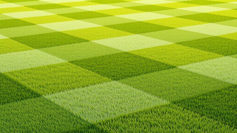 How To Mow Your Lawn Like A Baseball Field?