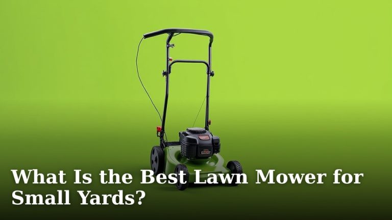 What Is the Best Lawn Mower for Small Yards?
